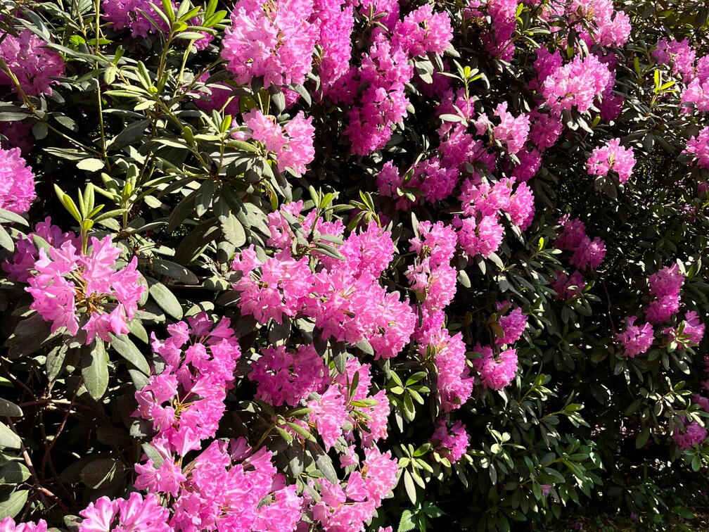 23-06-03 16-50-28 5801